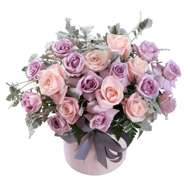 violet-lover-1